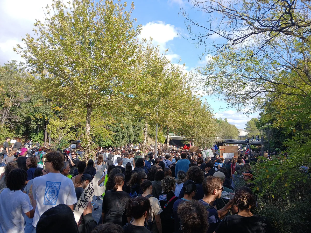 Aix-en-Provence'ta ağaçlı bir caddede yürüyen kalabalık